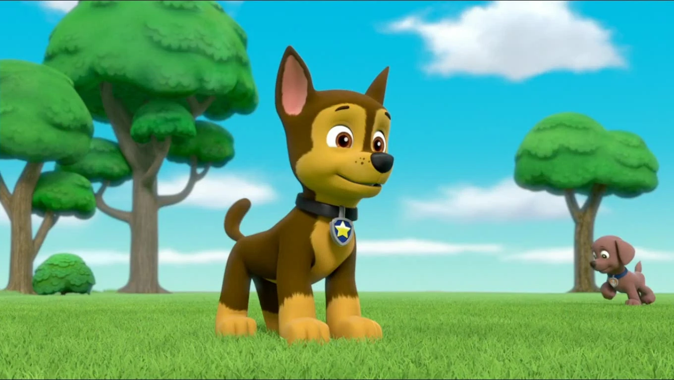 Paw patrol 3. Райдер и гонщик. Щенячий патруль 4 5. Щенячий патруль 4 5. 4 щенячий патруль.