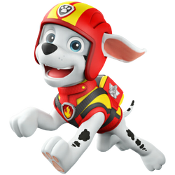 Marshall, PAW Patrol Wiki, Fandom