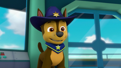 Paw patrol cowboy hotsell