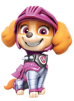 Paw patrol rescue skye best sale