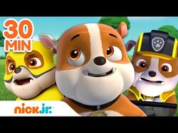 PAW Patrol Zuma Water Rescues! w/ Marshall, Skye & Rubble, 30 Minute  Compilation