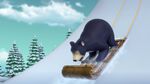 Sleepwalking Bear 32