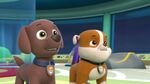 PAW.Patrol.S01E16.Pups.Save.Christmas.720p.WEBRip.x264.AAC 220053