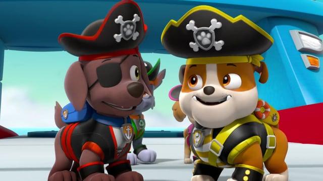 Pirate pups deals