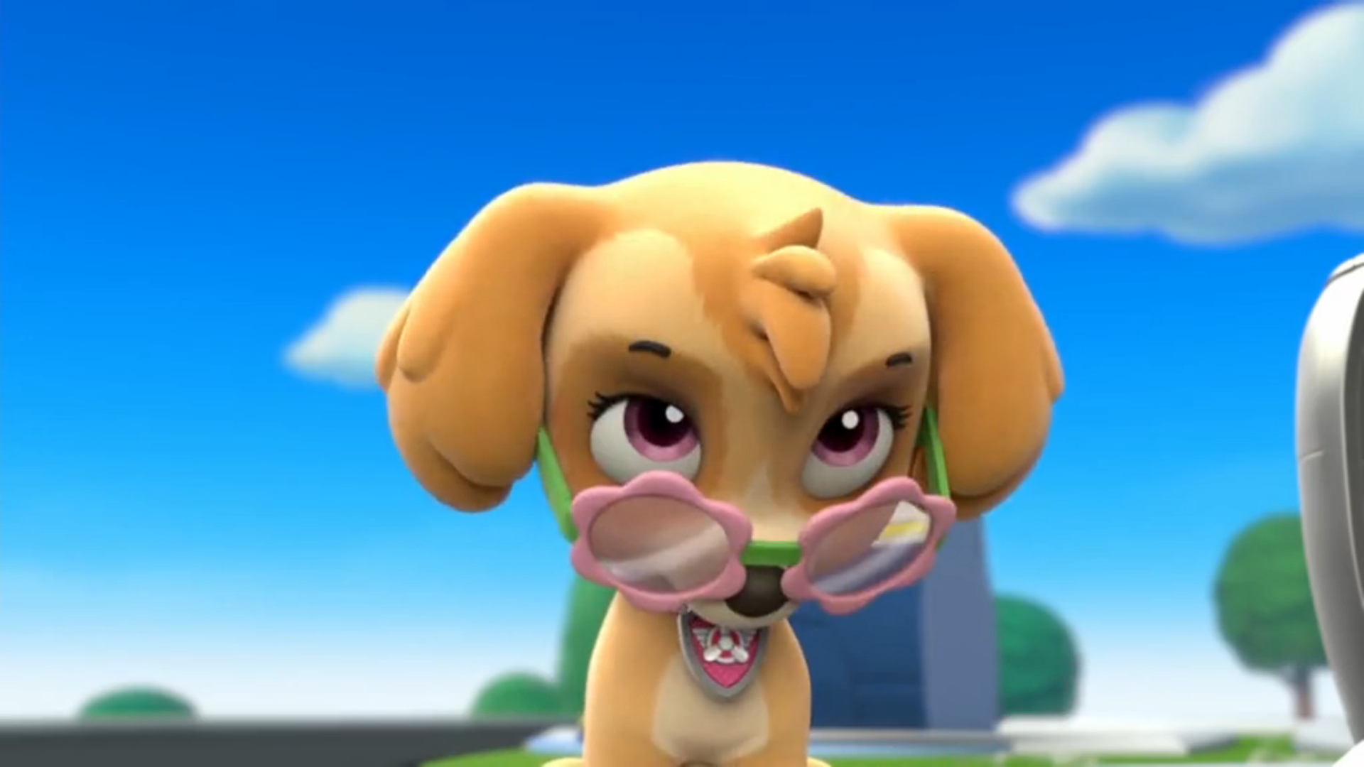Paw Patrol Pups Save A Pool Day Pups Save a Pool Day/Trivia | PAW Patrol Wiki | Fandom