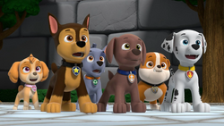 Rescue Knights: Pups Save Excalibark, PAW Patrol Wiki