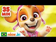 Patrulha Canina - 35 MINUTOS do melhor da Skye! - Nick Jr