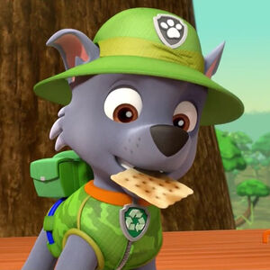 paw patrol pup rocky