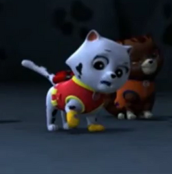 Paw patrol cat hot sale marshall