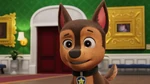 Collar only (as of Season 11)