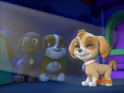 Zuma/Gallery/Pups Turn on the Lights, PAW Patrol Wiki