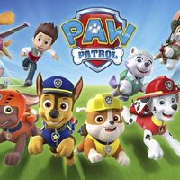 Paw Patrol Team Trivia Paw Patrol Wiki Fandom