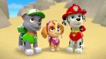 PAW.Patrol.S01E26.Pups.and.the.Pirate.Treasure.720p.WEBRip.x264.AAC 630063