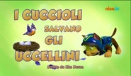 "Pups Save the Songbirds" ("I cuccioli salvano gli uccellini") title card on Nick Jr.
