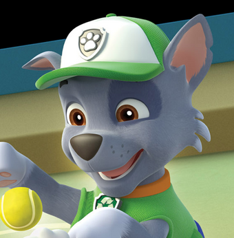 rocky hat paw patrol