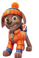 Zuma - Ice Outfit.png (93 KB) Sea Patrol Winter/icy conditions outfit