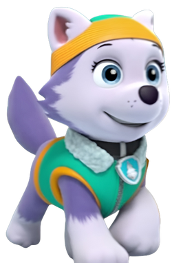 Paw patrol everest sales