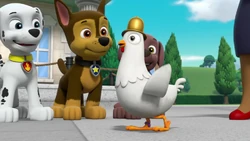 Giant Chicken | PAW Patrol Wiki | Fandom