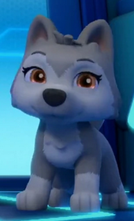 Little hotsell paw patrol