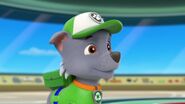 PAW.Patrol 088768.jpg