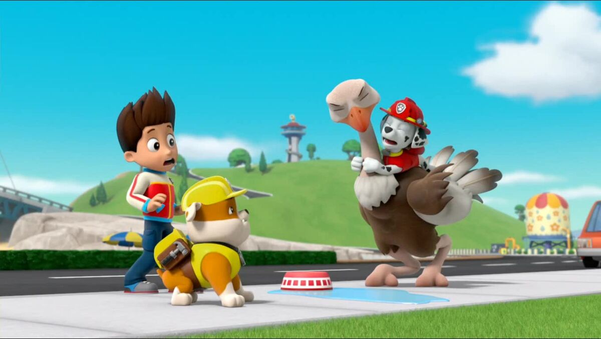 Pups Save An Ostrichtrivia Paw Patrol Wiki Fandom 