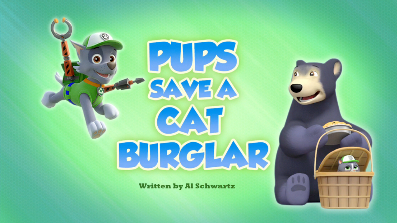 Pups Save a Cat Burglar | PAW Patrol 