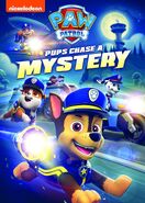 Pups Chase a Mystery (United States)