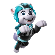 paw patrol air rescue everest