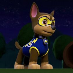 Paw patrol sale pirate chase