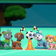 paw patrol all star pups