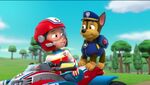 PAW Patrol Pups Save a School Bus Scene 39 Ryder Chase