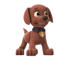 Zuma, PAW Patrol Wiki