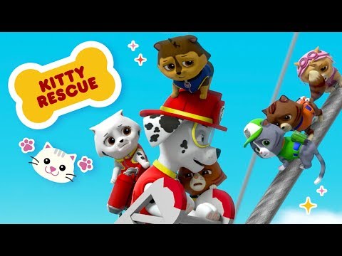 Save a kitty rescue on sale