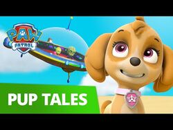 Paw patrol toy videos best sale
