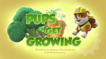 Pups Get Growing (HD)