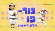 מפרץ ההרפתקאות גור-פו.png (507 KB) "Pup-fu!" ("גור-פו") title card on Nick Jr.