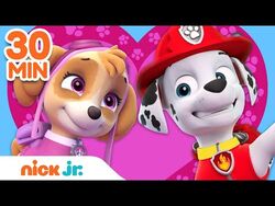 PAW Patrol Marshall's BEST Lookout Tower Rescues! w/ Chase & Skye, 30  Minute Compilation