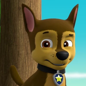 chase paw patrol pup