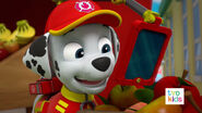 PAW Patrol Pups Save the Critters Marshall 1