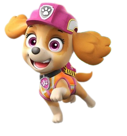 Paw patrol ultimate rescue construction skye top