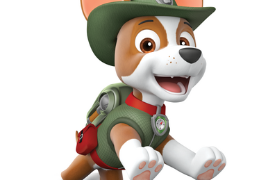 Paw patrol jungle dog clearance