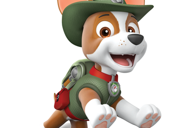 Extended Trailer Ft.Tracker 🐾 NEW Full Episode on, PAW Patrol