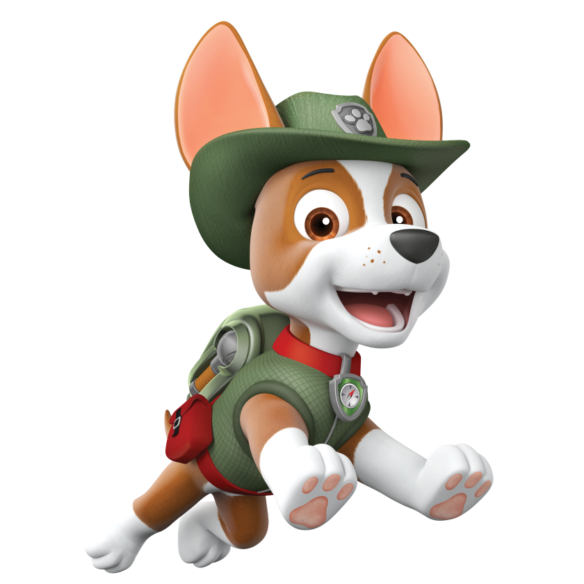 PAW Patrol Pup Pack – Flying Pig Toys