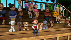 Zuma/Gallery, PAW Patrol Wiki, Fandom