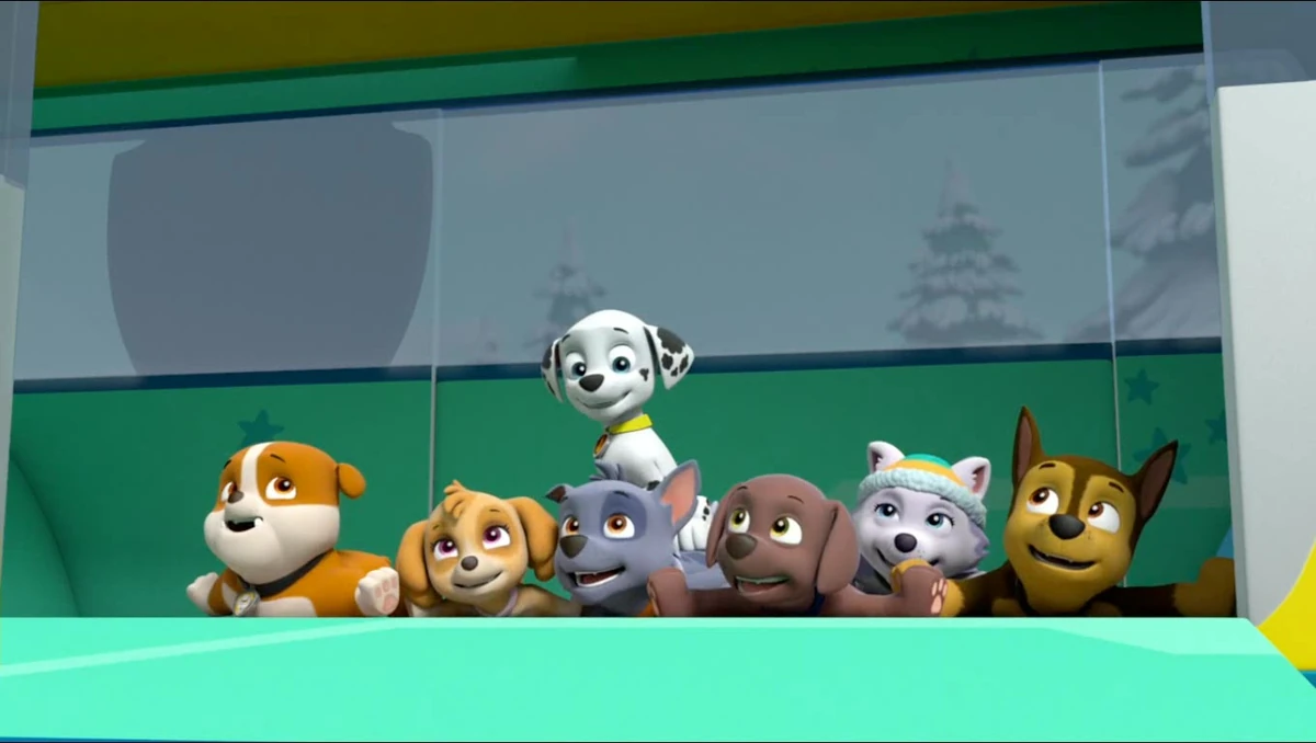 Zuma/Gallery/Pups Save a Wild Ride | PAW Patrol Wiki | Fandom
