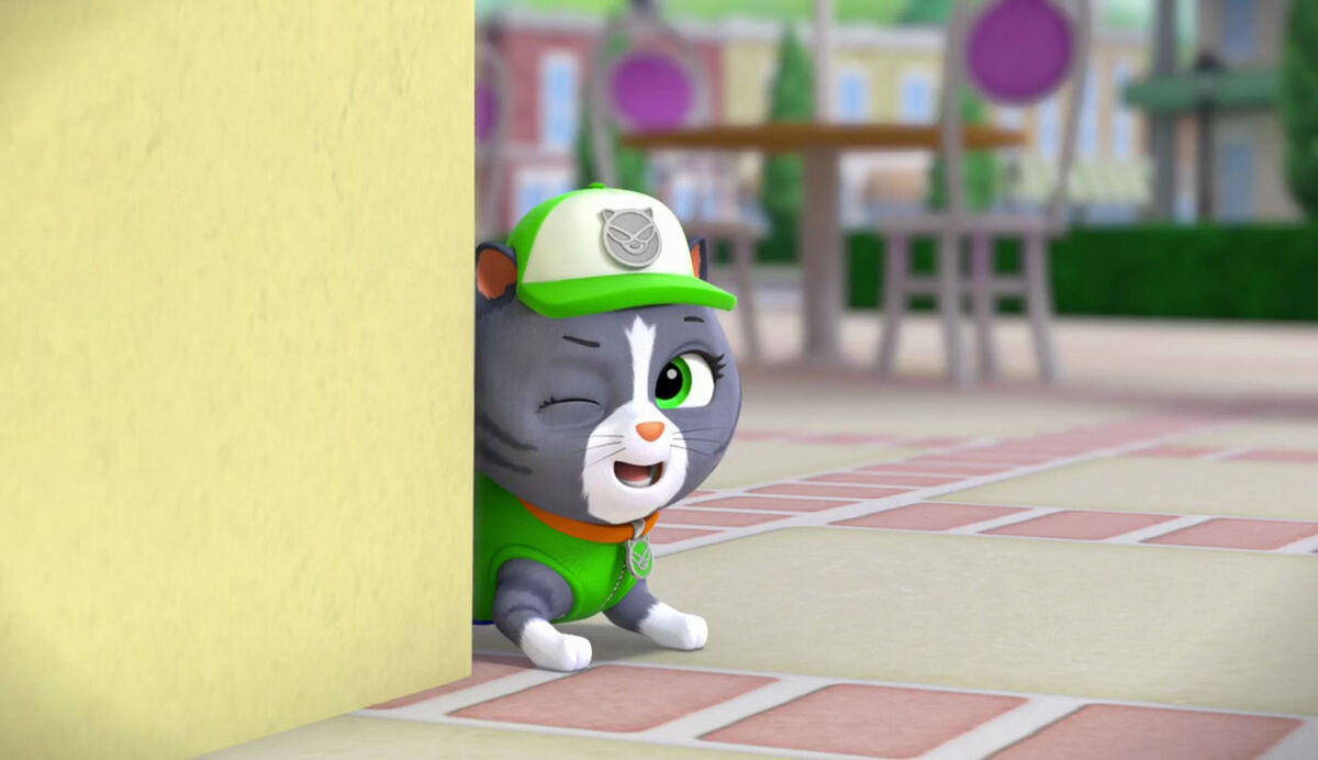 Cat Rocky/Appearances | PAW Patrol Wiki | Fandom