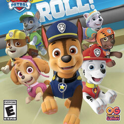 Paw patrol on a sale roll video game
