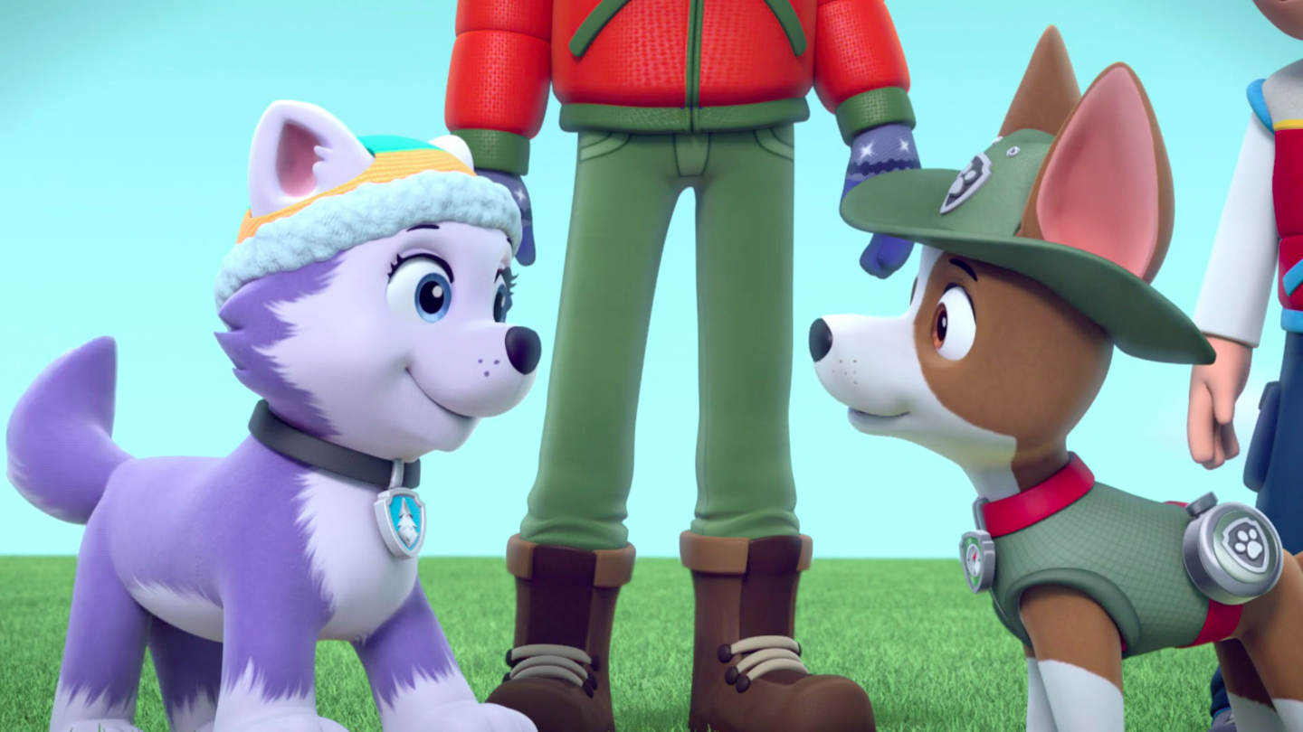 græsplæne For pokker Glat The Pups' Winter Wonder Show/Trivia | PAW Patrol Wiki | Fandom