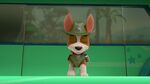 Paw.Patrol.S03E25.Tracker.Joins.the.Pups.720p.WEB-DL.AAC2.0.H264-BTN 585043