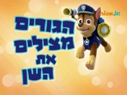 מפרץ ההרפתקאות הגורים מצילים את השן.png (437 KB) "Pups Save a Toof" ("הגורים מצילים את השן") title card on Nick Jr.